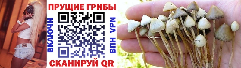 Галлюциногенные грибы ЛСД  Олёкминск 